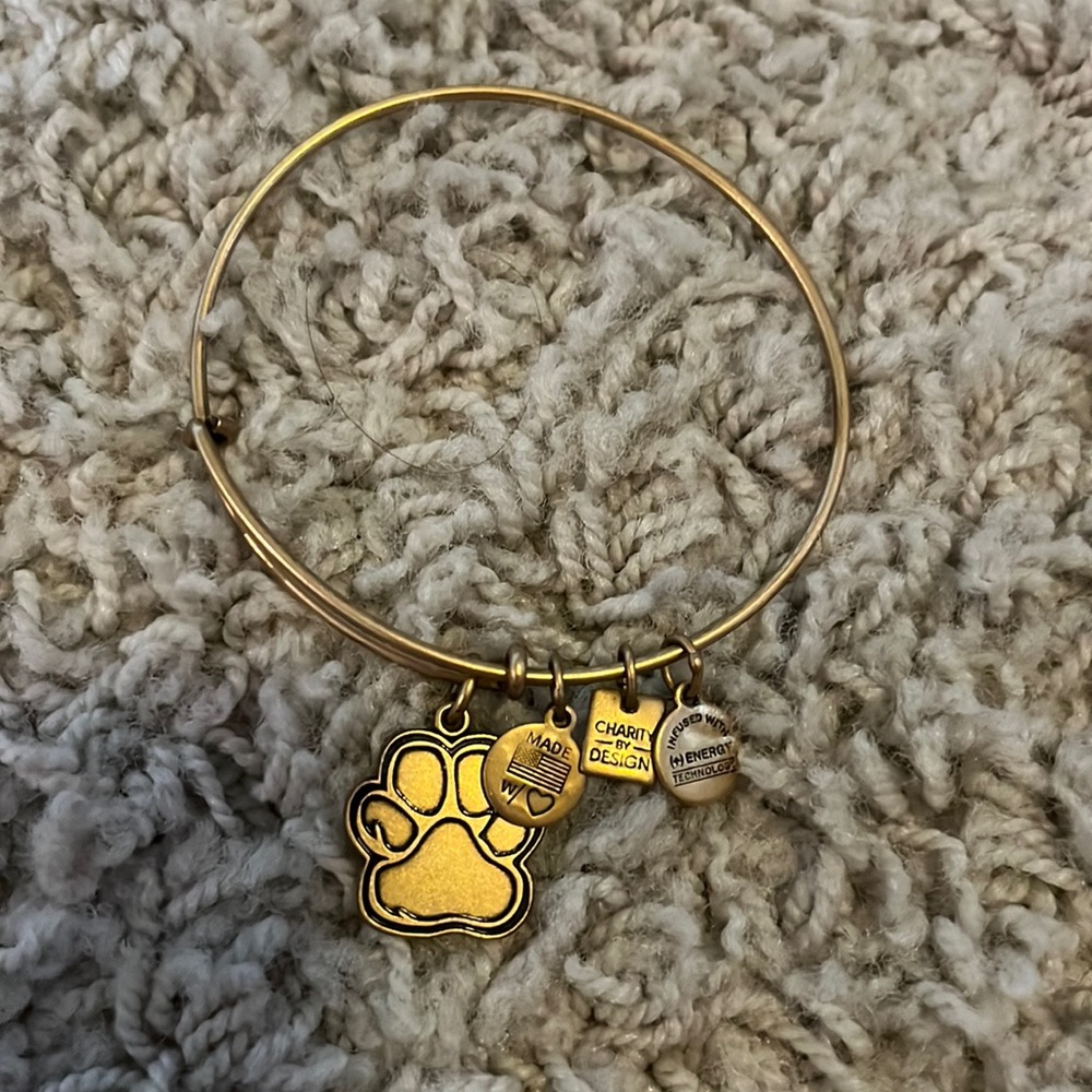Alex and ani bracelet